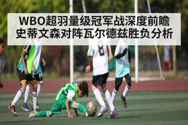 WBO超羽量级冠军战深度前瞻 史蒂文森对阵瓦尔德兹胜负分析